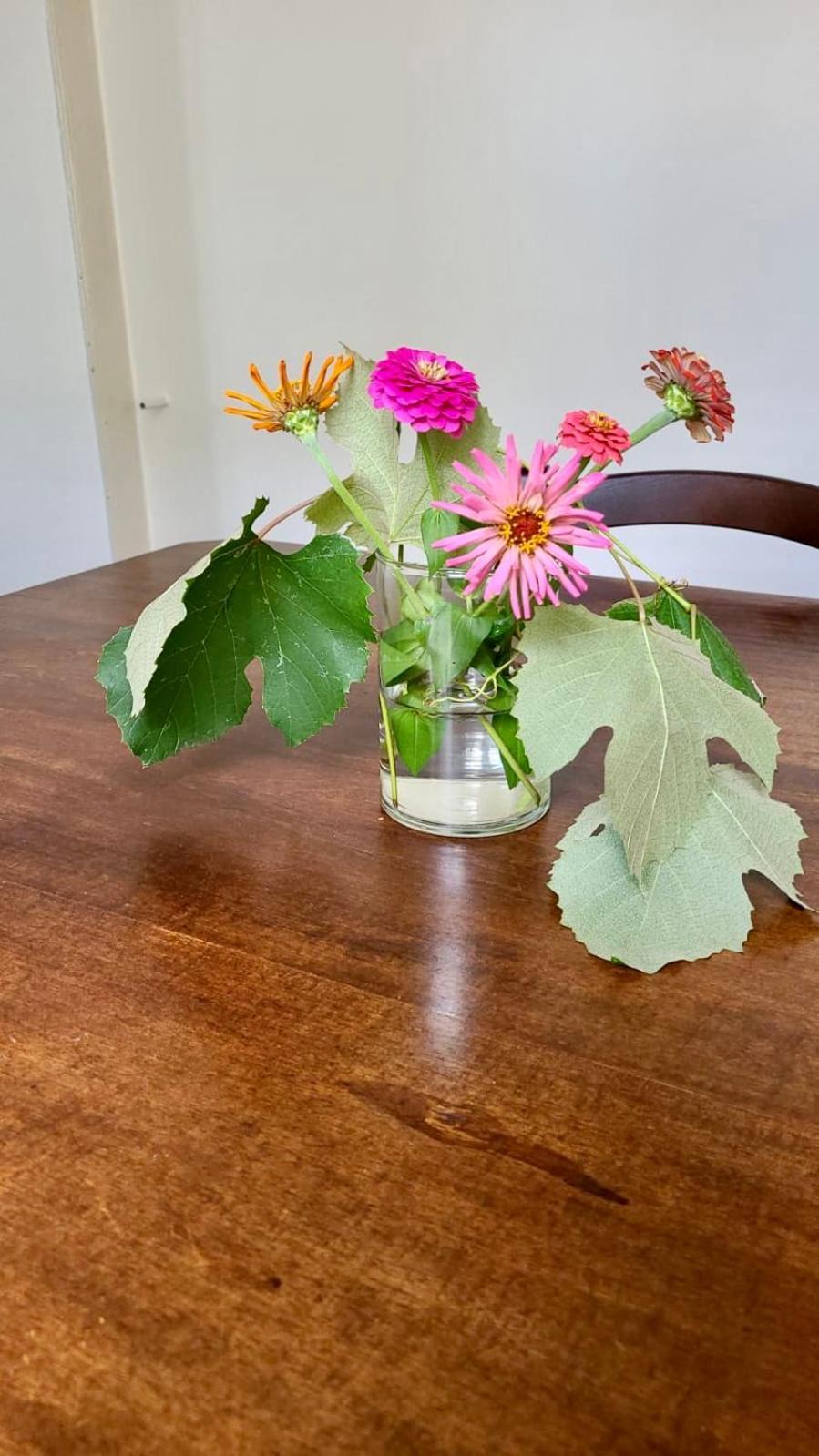 דירות דומודוסולה Antica Casa Storica Con Giardino מראה חיצוני תמונה