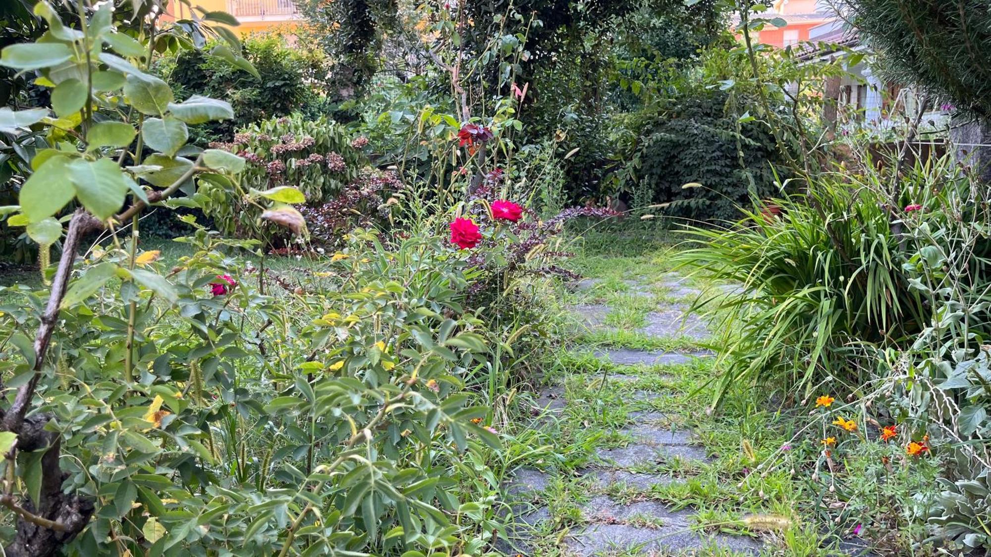דירות דומודוסולה Antica Casa Storica Con Giardino מראה חיצוני תמונה